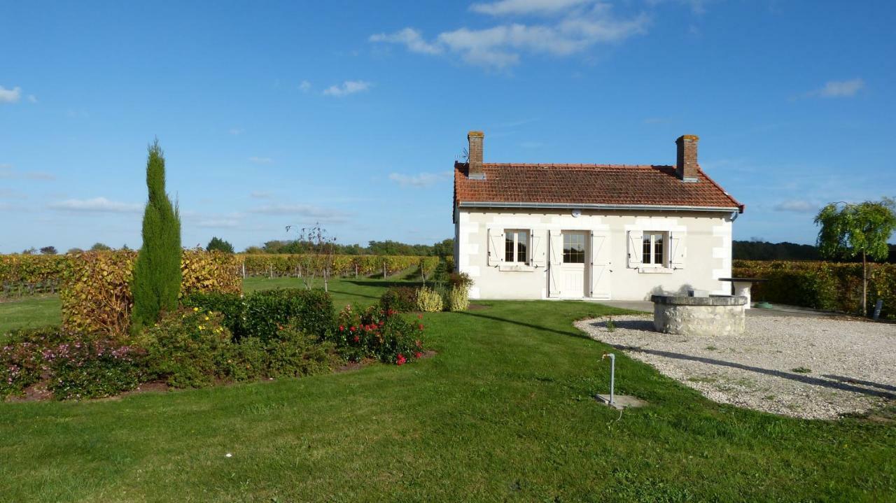 Вілла L'Ecrin Au Coeur Des Vignes Сен-Жорж-сюр-Шер Екстер'єр фото